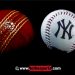 Difference Between Cricket ball and Baseball